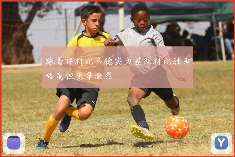 球哥评科比韦德实力差距科比胜率略高但竞争激烈